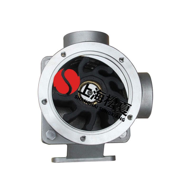  什么叫内装式橡胶叶轮泵？